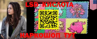 ПСИЛОЦИБИНОВЫЕ ГРИБЫ Гатчина