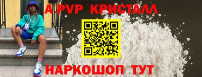 спиды Гай