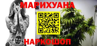 спиды Гай