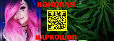спиды Гай