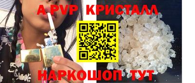 спиды Гай