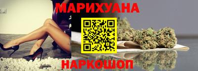 спиды Гай