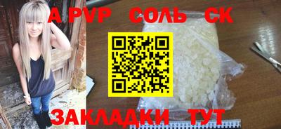 спиды Гай