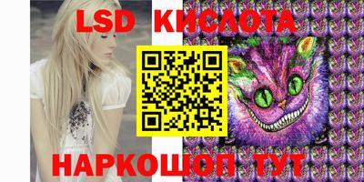 спиды Гай