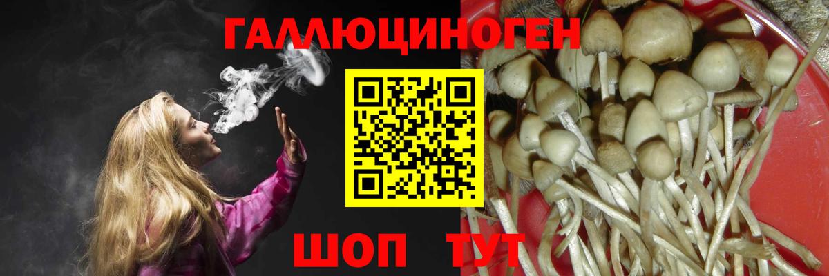 Березники  Псилоцибиновые грибы прущие грибы  Вход с VPN 